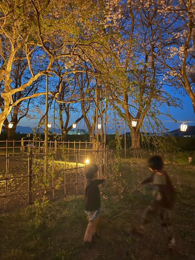 f:id:zappa38:20220413054445j:image