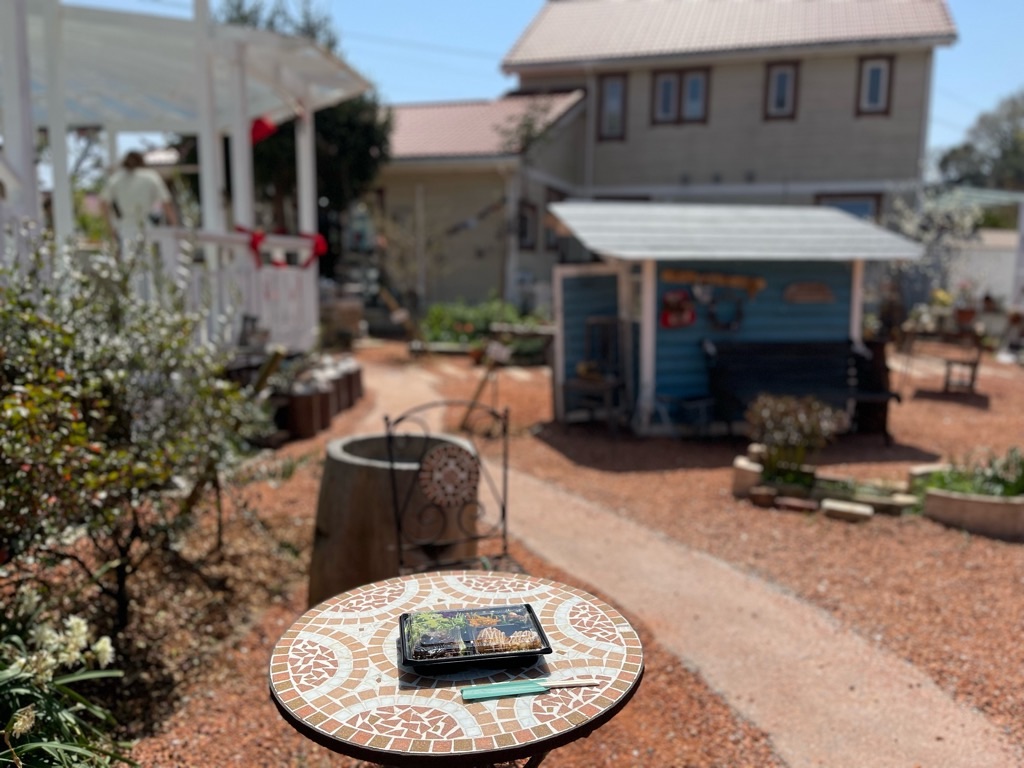 f:id:zappa38:20220413054447j:image