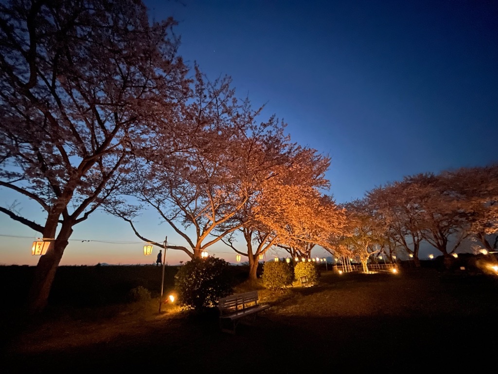 f:id:zappa38:20220413054504j:image