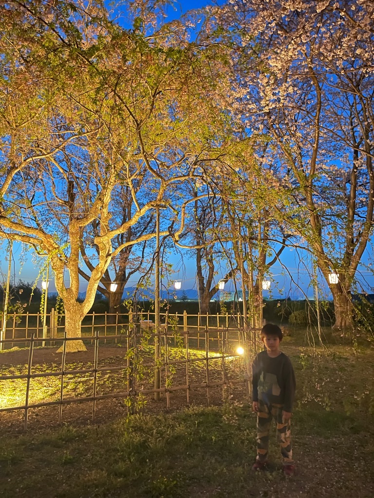 f:id:zappa38:20220413054530j:image