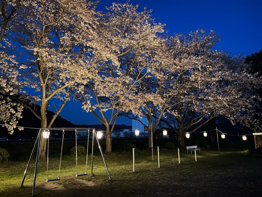 f:id:zappa38:20220413054534j:image