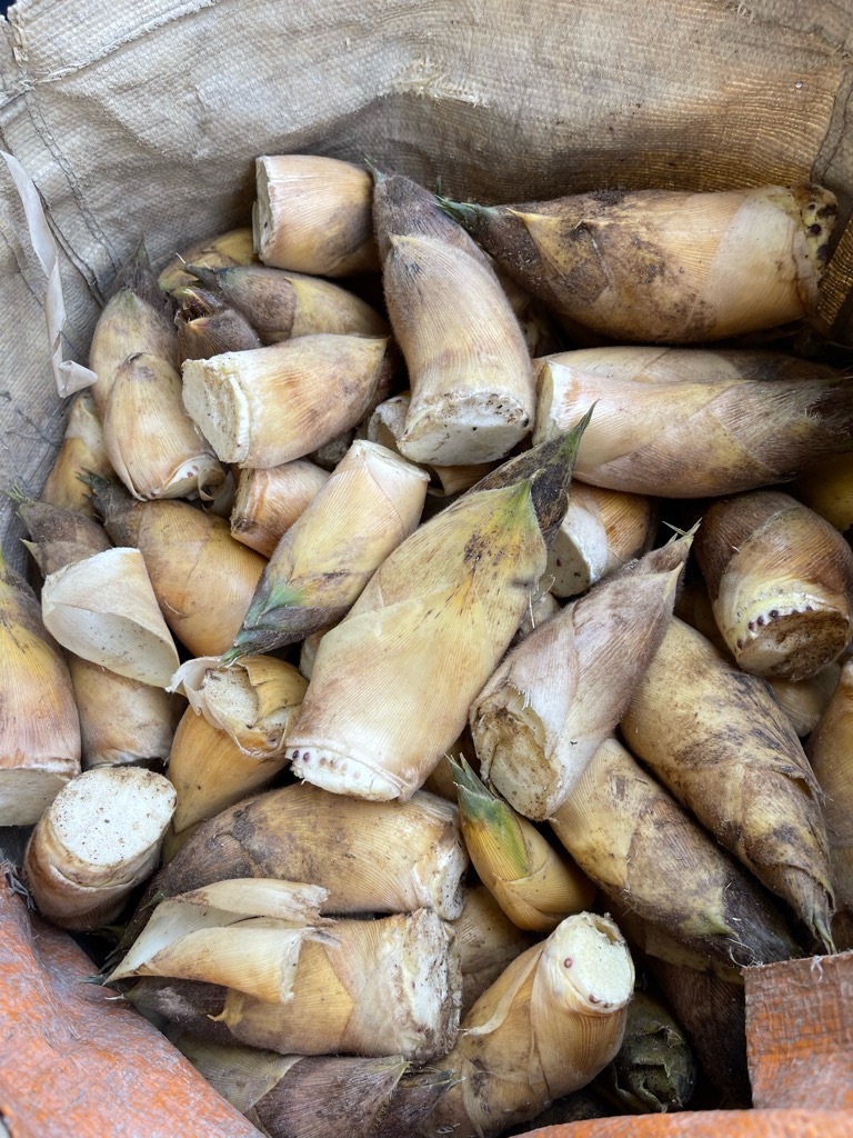 f:id:zappa38:20220413055312j:image