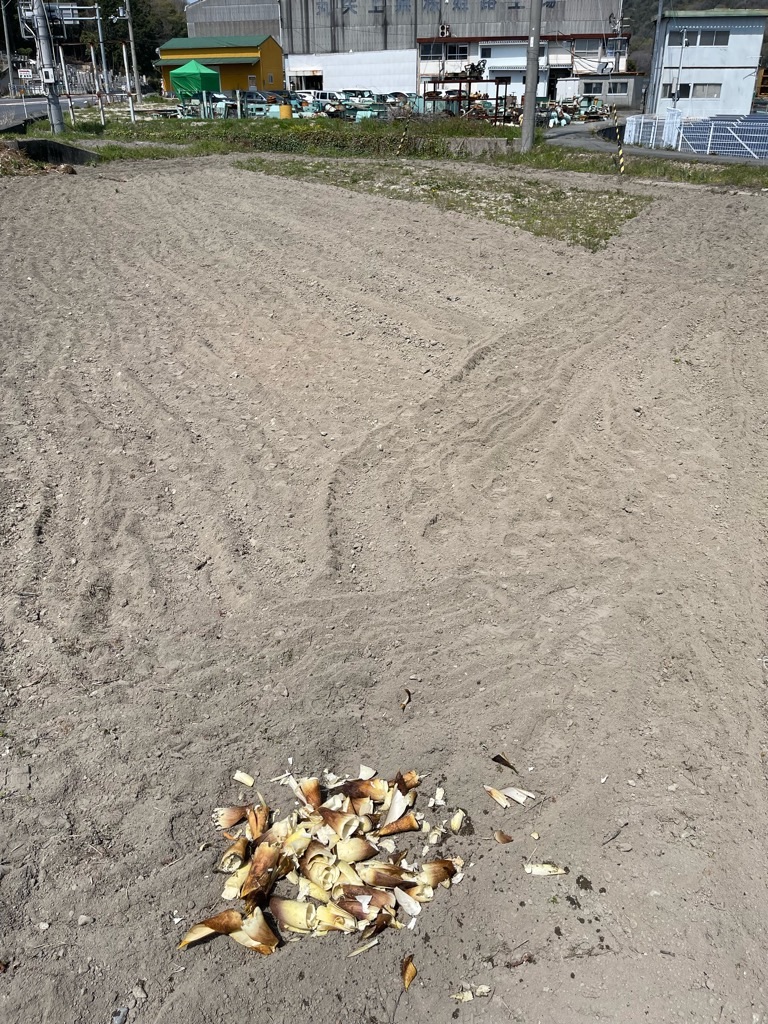 f:id:zappa38:20220413055316j:image