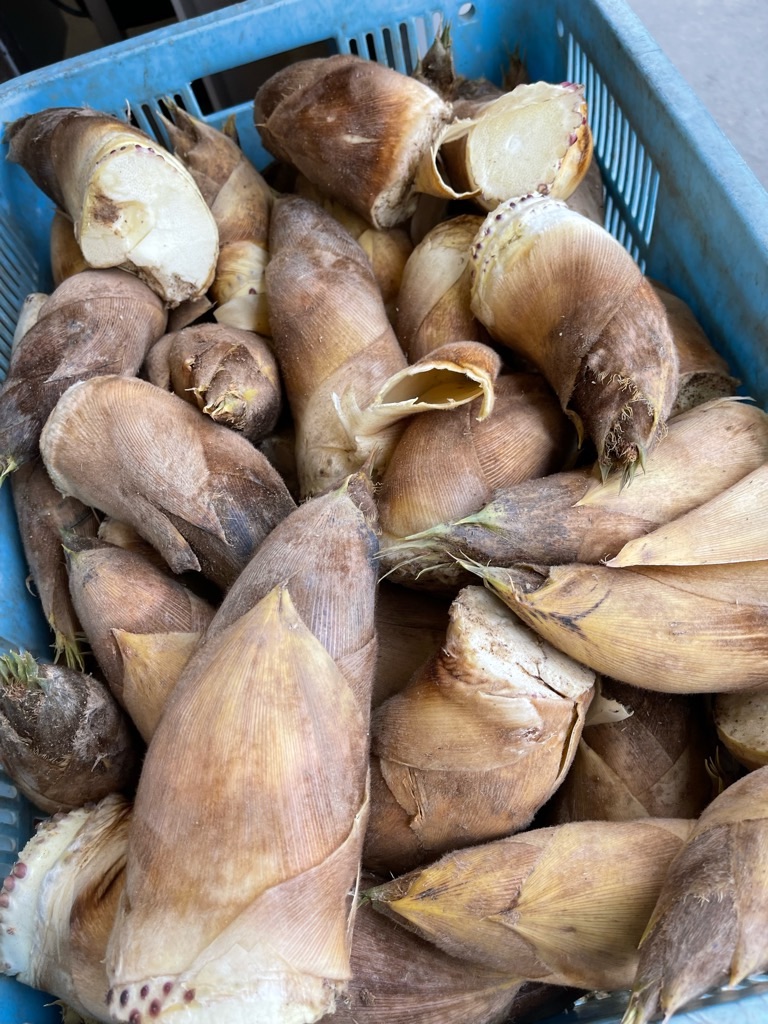 f:id:zappa38:20220413055326j:image