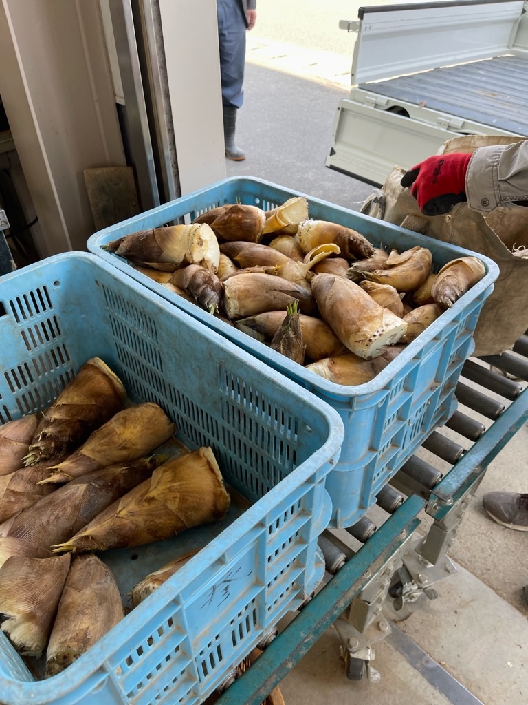 f:id:zappa38:20220413055332j:image