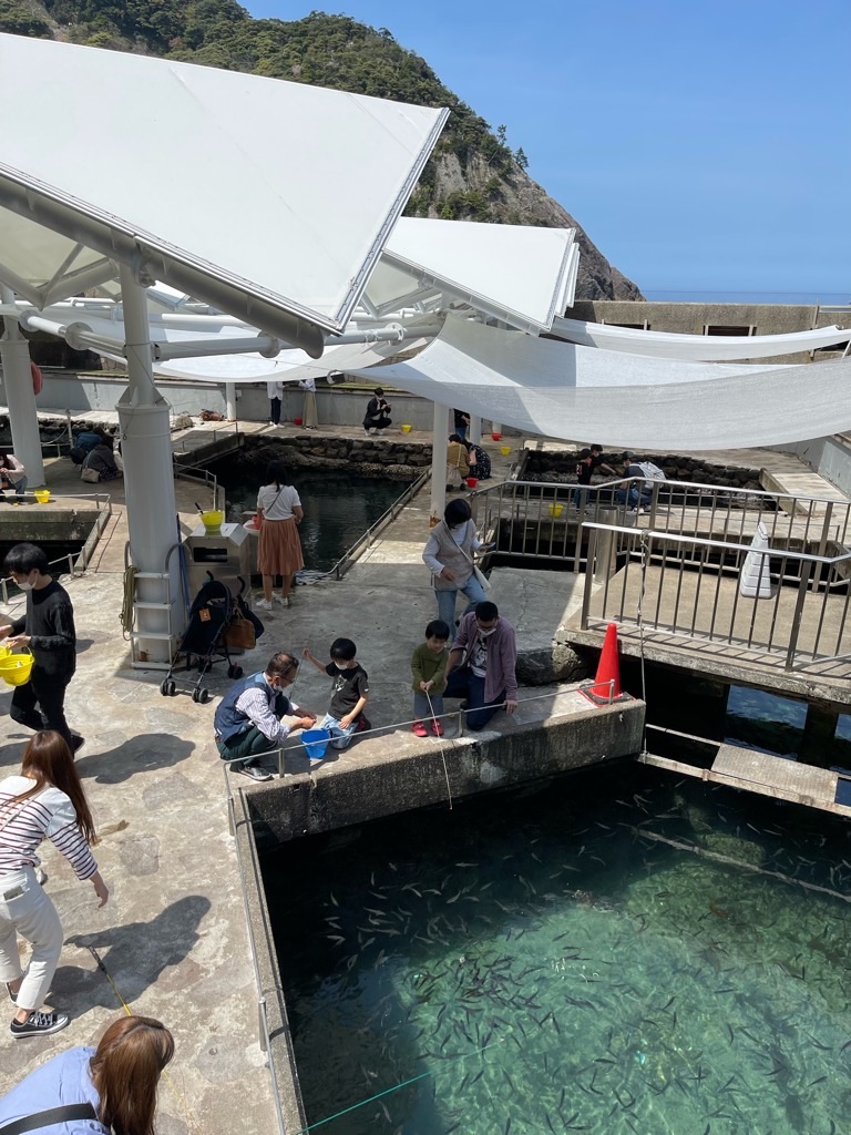 f:id:zappa38:20220413063030j:image