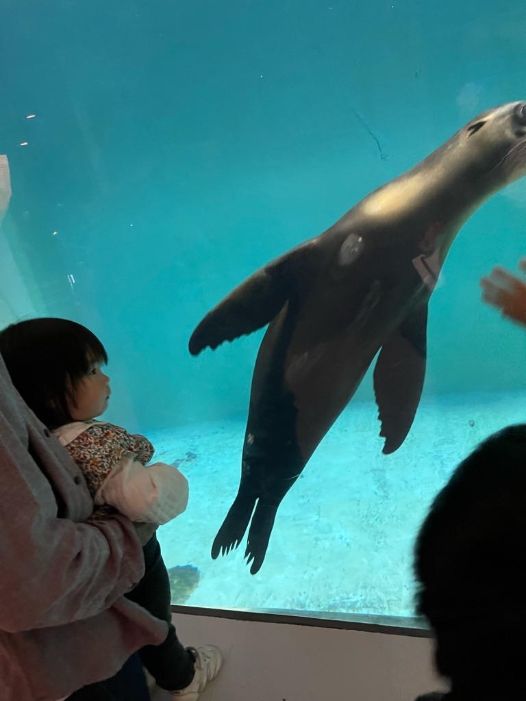 f:id:zappa38:20220413063036j:image