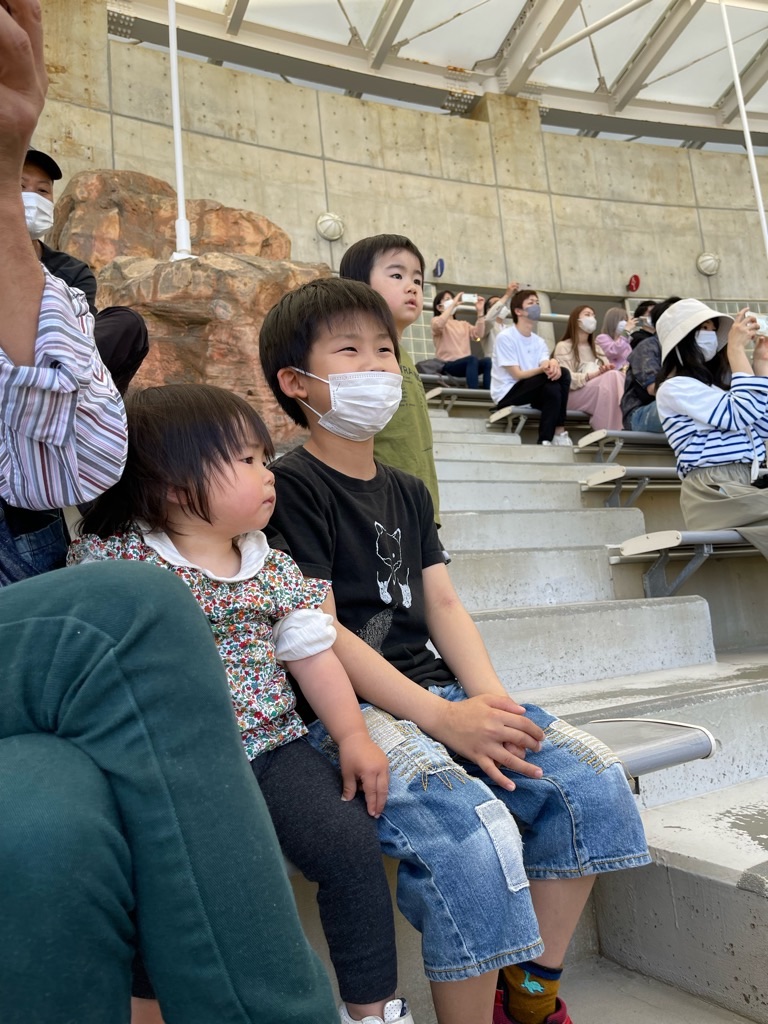 f:id:zappa38:20220413063046j:image