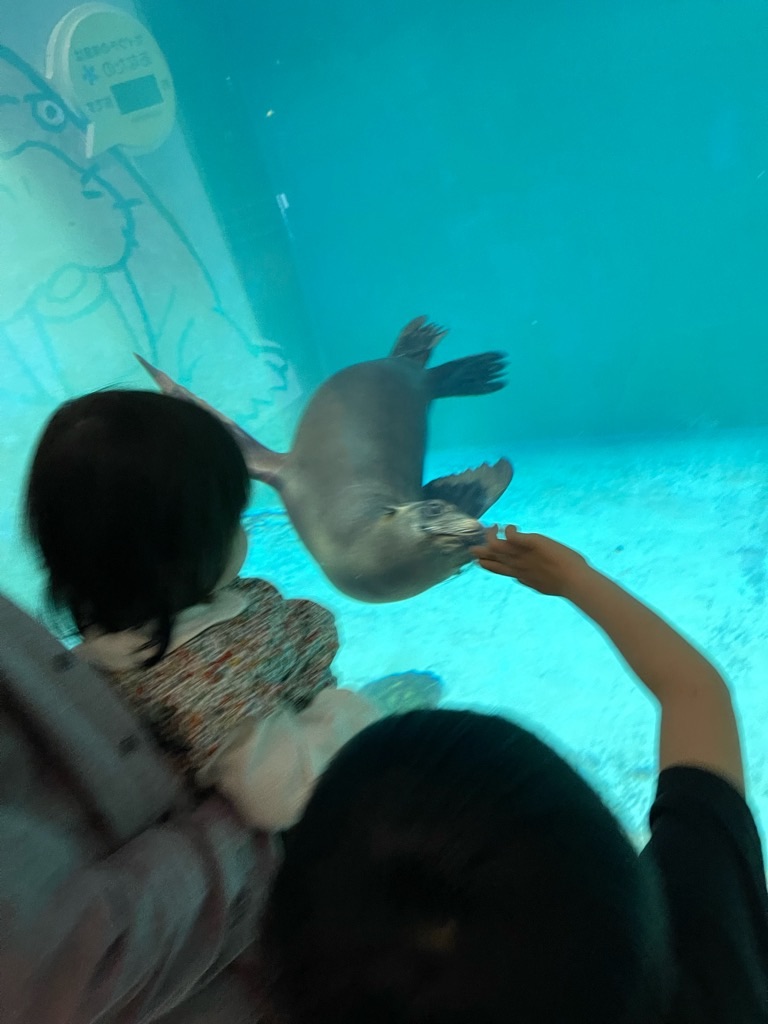 f:id:zappa38:20220413063058j:image