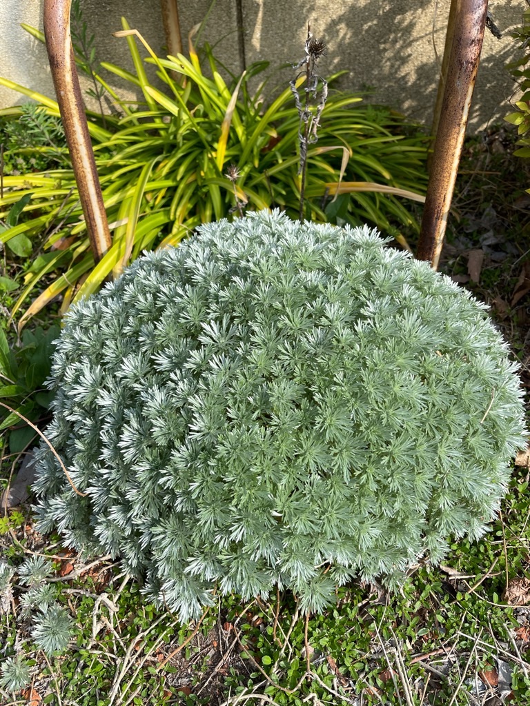 f:id:zappa38:20220413174132j:image f:id:zappa38:20220413174132j:image