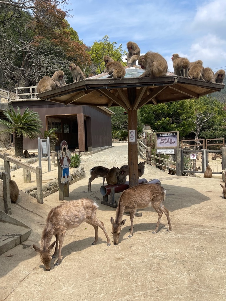 f:id:zappa38:20220413174144j:image f:id:zappa38:20220413174144j:image