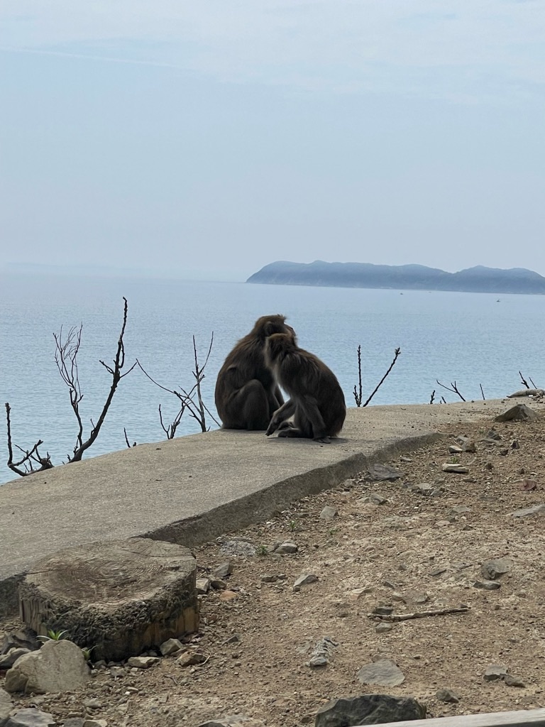 f:id:zappa38:20220413174157j:image f:id:zappa38:20220413174157j:image