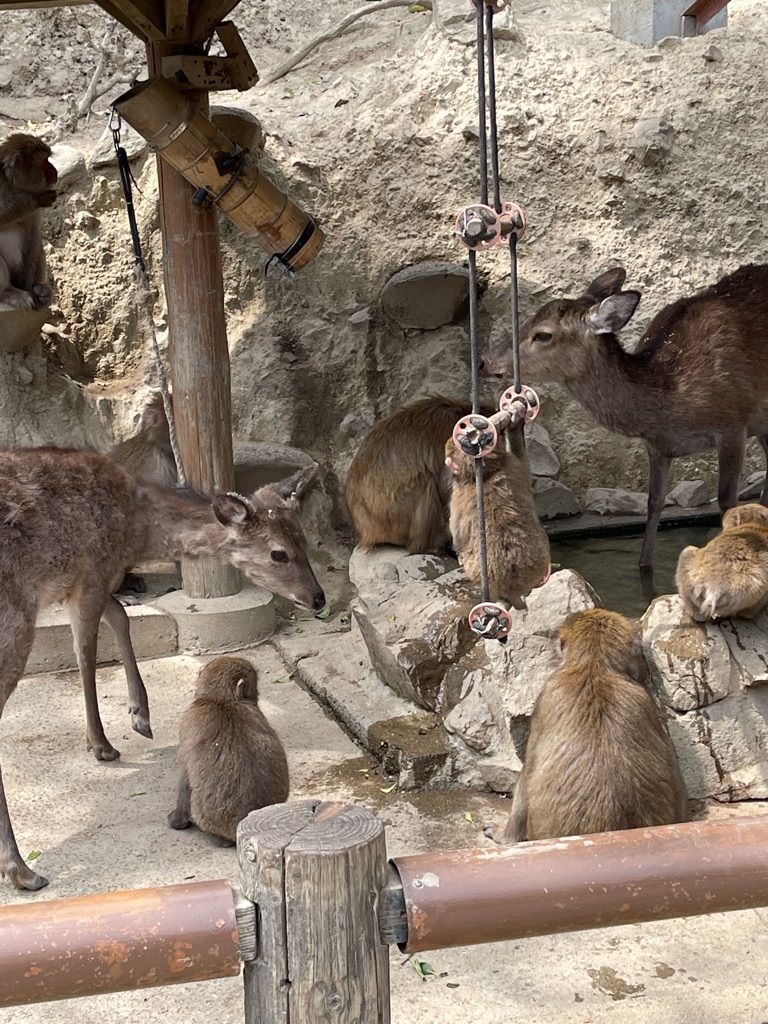 f:id:zappa38:20220413174208j:image f:id:zappa38:20220413174208j:image