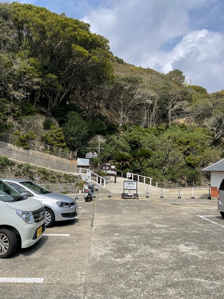 f:id:zappa38:20220413174215j:image f:id:zappa38:20220413174215j:image