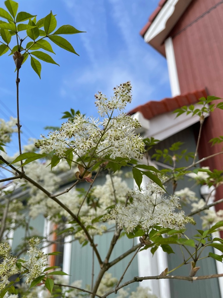 f:id:zappa38:20220413194031j:image f:id:zappa38:20220413194031j:image