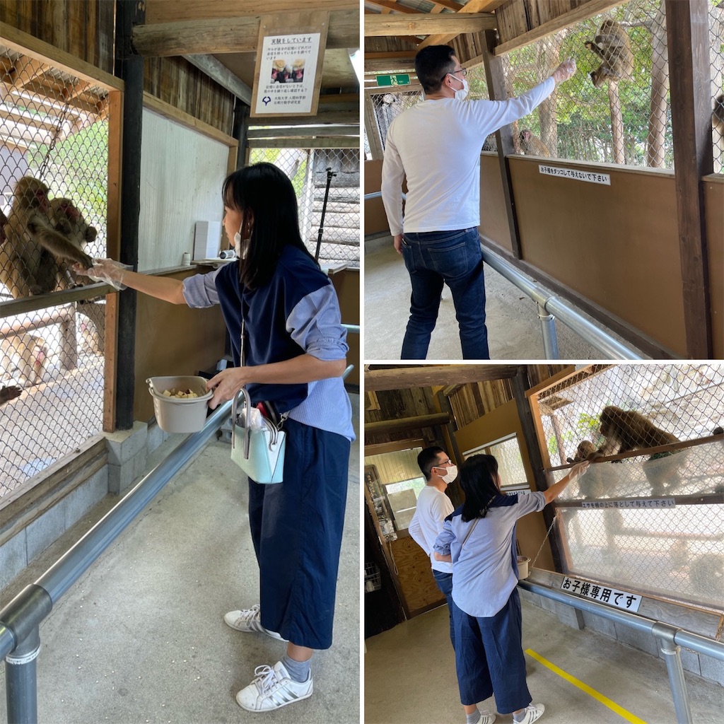 f:id:zappa38:20220413213607j:image f:id:zappa38:20220413213607j:image