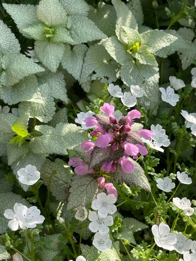 f:id:zappa38:20220422203059j:image f:id:zappa38:20220422203059j:image