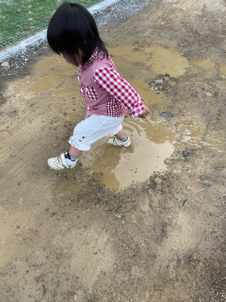 f:id:zappa38:20220422203104j:image f:id:zappa38:20220422203104j:image