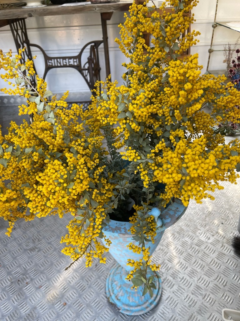 f:id:zappa38:20220422203122j:image f:id:zappa38:20220422203122j:image