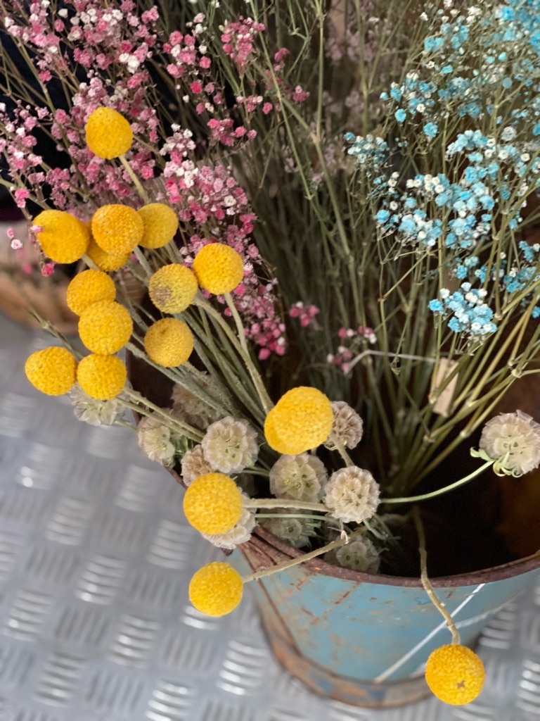 f:id:zappa38:20220422203131j:image f:id:zappa38:20220422203131j:image