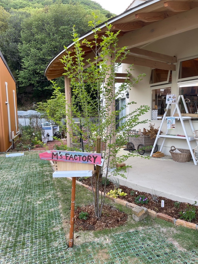 f:id:zappa38:20220422203149j:image f:id:zappa38:20220422203149j:image