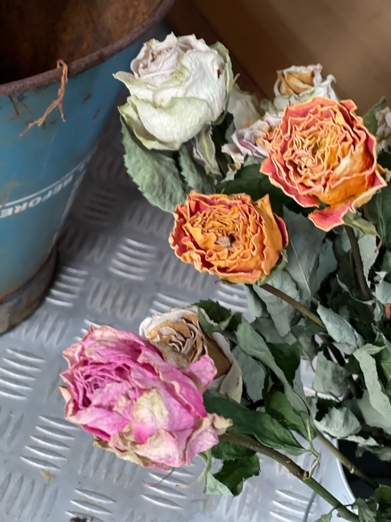 f:id:zappa38:20220422203152j:image f:id:zappa38:20220422203152j:image