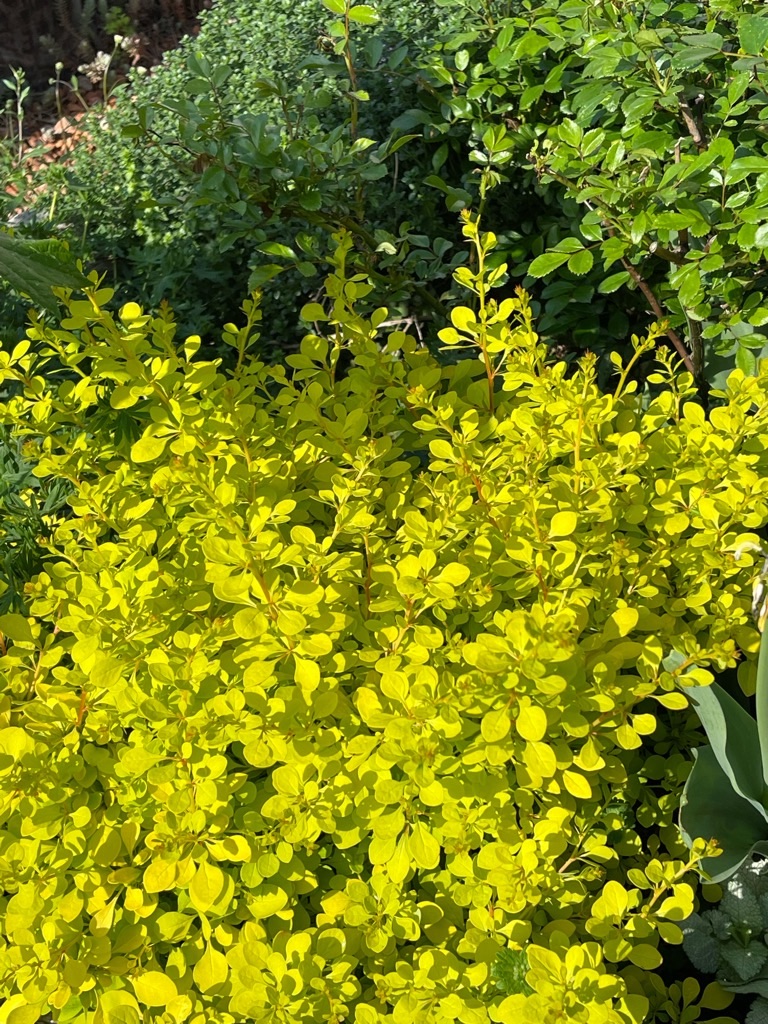 f:id:zappa38:20220422203215j:image f:id:zappa38:20220422203215j:image