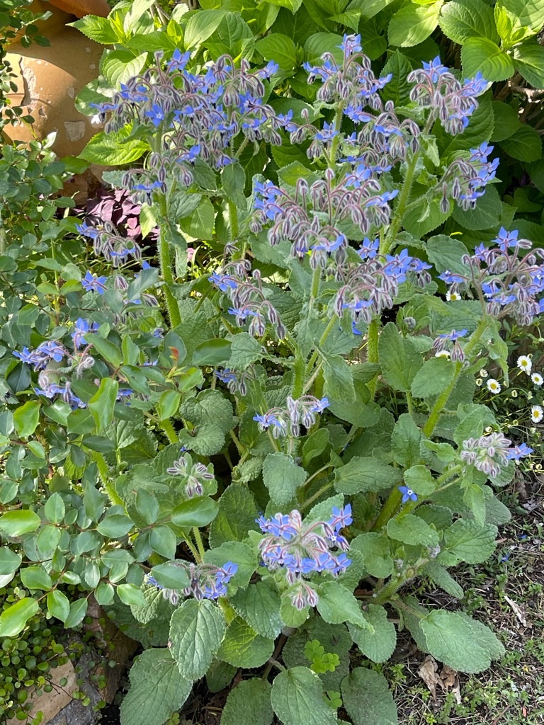 f:id:zappa38:20220422203220j:image f:id:zappa38:20220422203220j:image