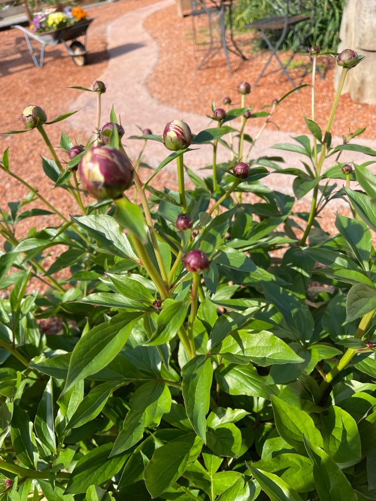 f:id:zappa38:20220422203903j:image f:id:zappa38:20220422203903j:image