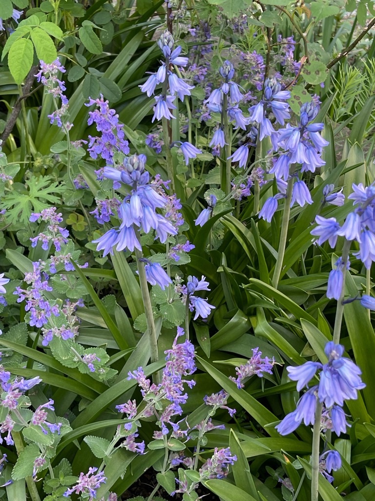 f:id:zappa38:20220422203908j:image f:id:zappa38:20220422203908j:image