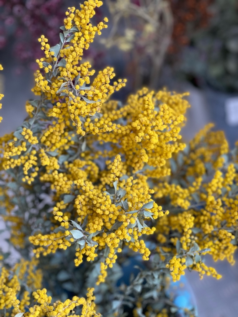 f:id:zappa38:20220422203914j:image f:id:zappa38:20220422203914j:image