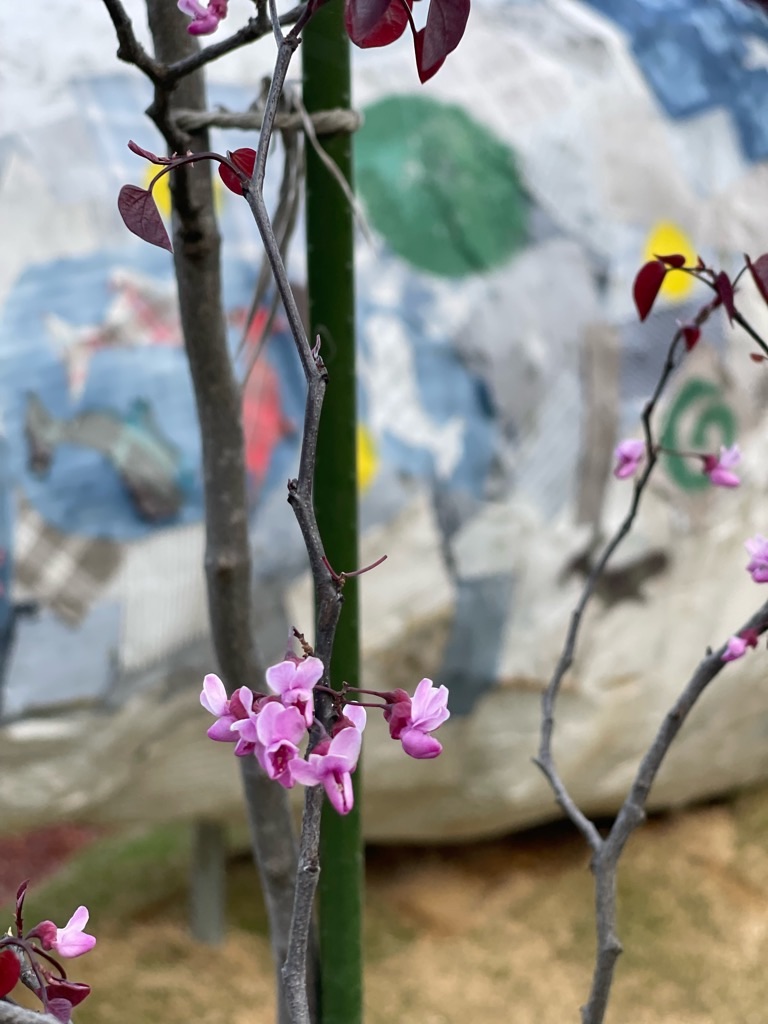 f:id:zappa38:20220422203917j:image f:id:zappa38:20220422203917j:image