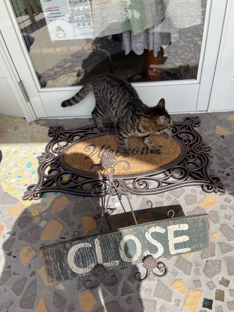 f:id:zappa38:20220422205307j:image f:id:zappa38:20220422205307j:image