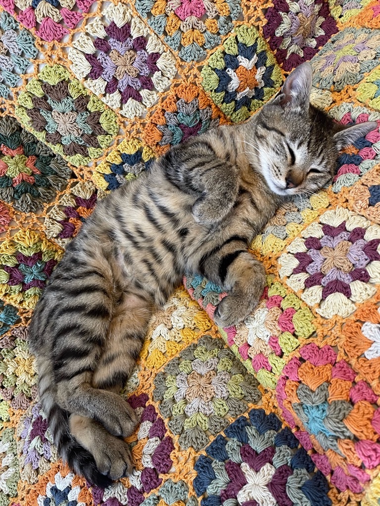 f:id:zappa38:20220428213445j:image