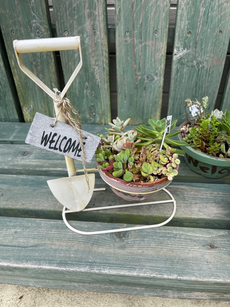 f:id:zappa38:20220521213421j:image