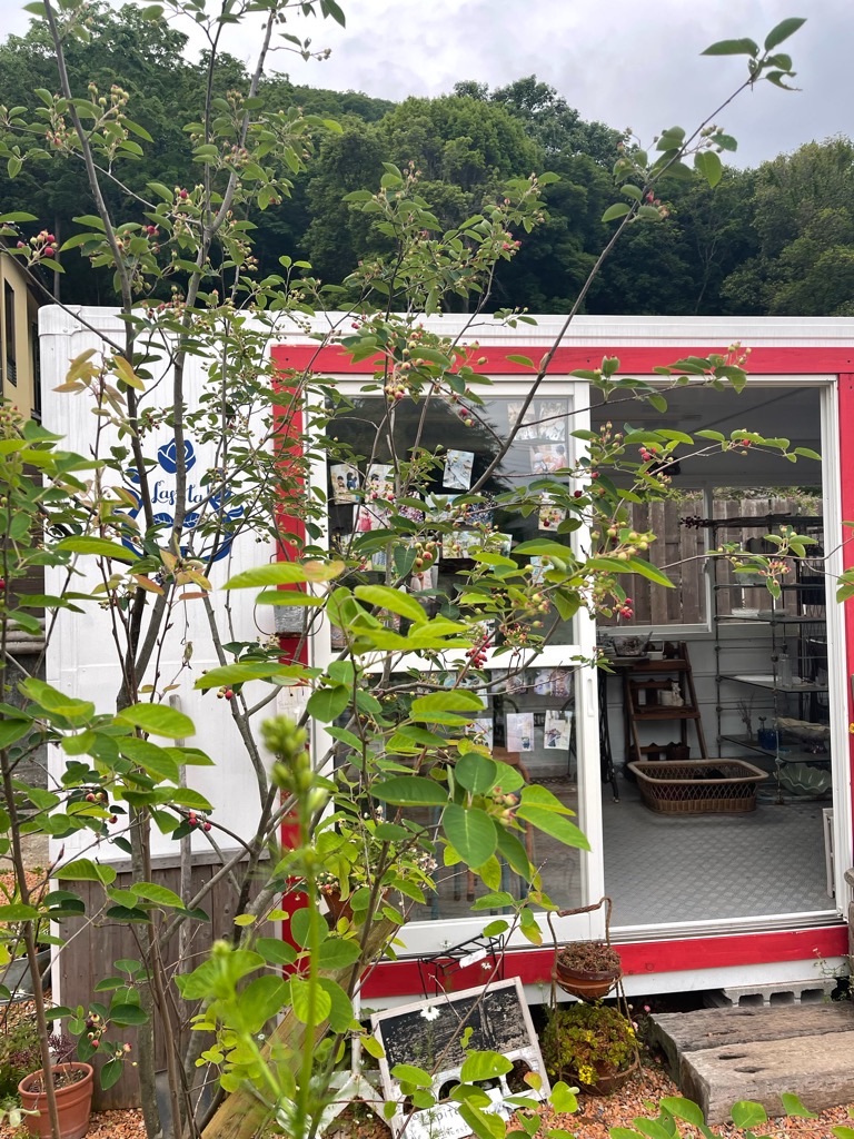 f:id:zappa38:20220521213903j:image