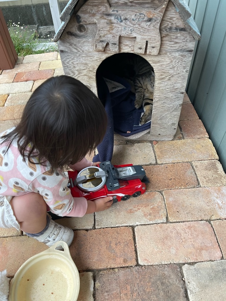 f:id:zappa38:20220521213909j:image