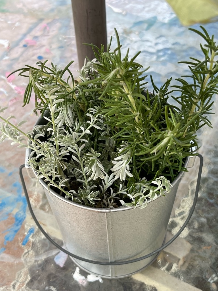 f:id:zappa38:20220730204444j:image