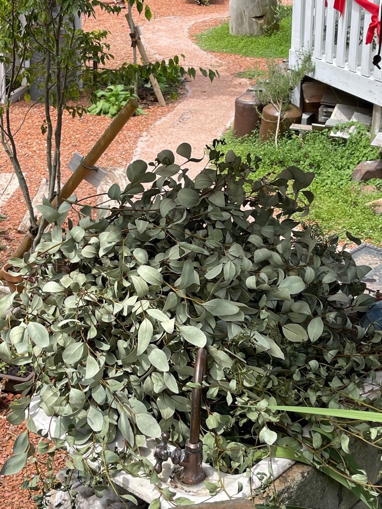 f:id:zappa38:20220730204629j:image