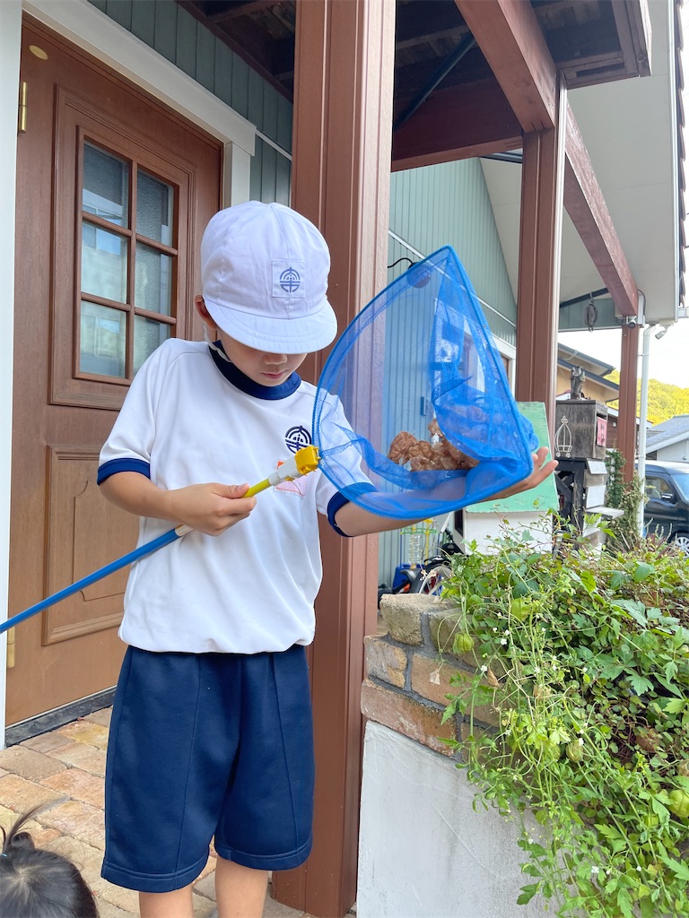 f:id:zappa38:20220921194459j:image