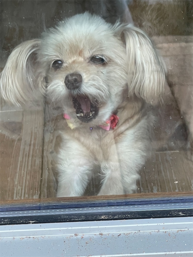 f:id:zappa38:20220921194525j:image