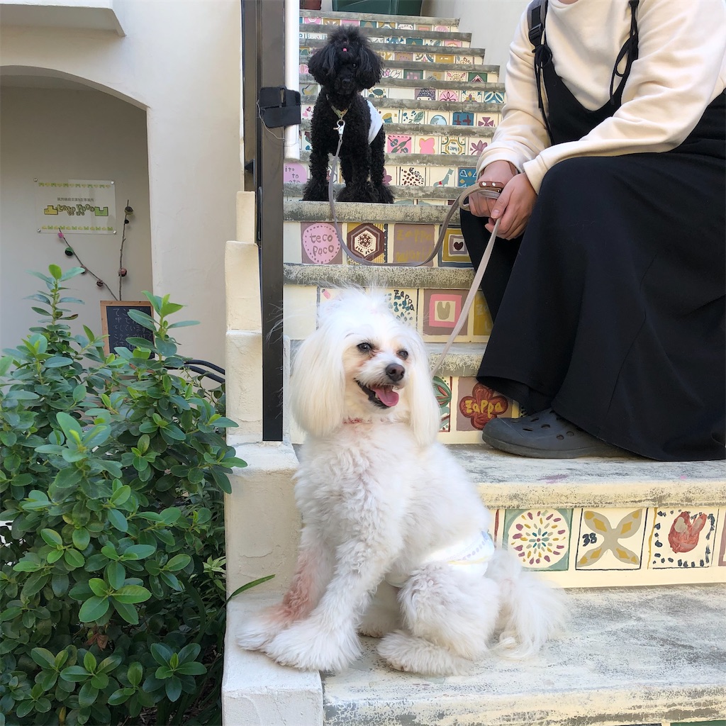 f:id:zappa38:20221021165604j:image f:id:zappa38:20221021165604j:image