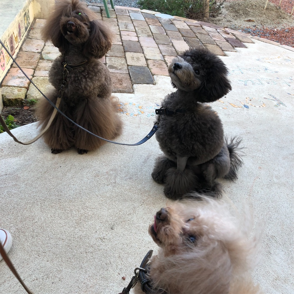 f:id:zappa38:20221021165608j:image f:id:zappa38:20221021165608j:image