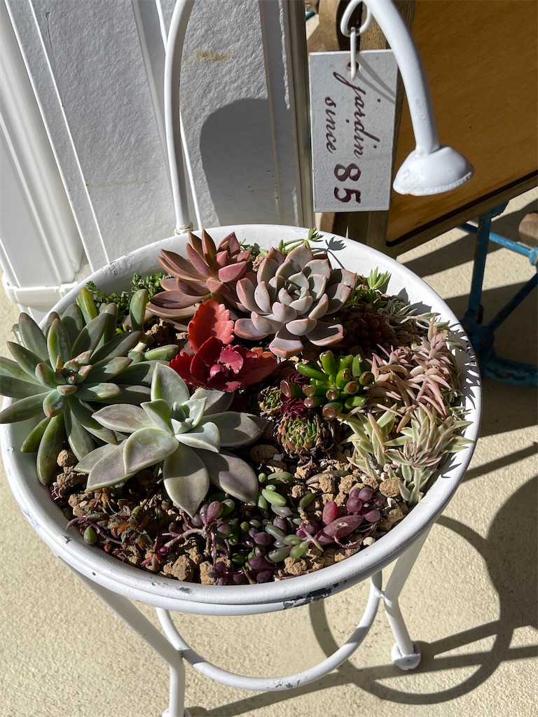 f:id:zappa38:20221031190801j:image