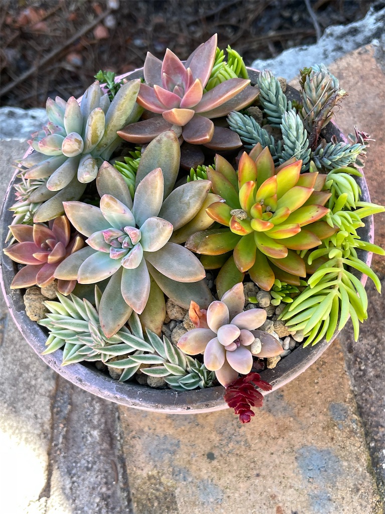 f:id:zappa38:20221031190811j:image