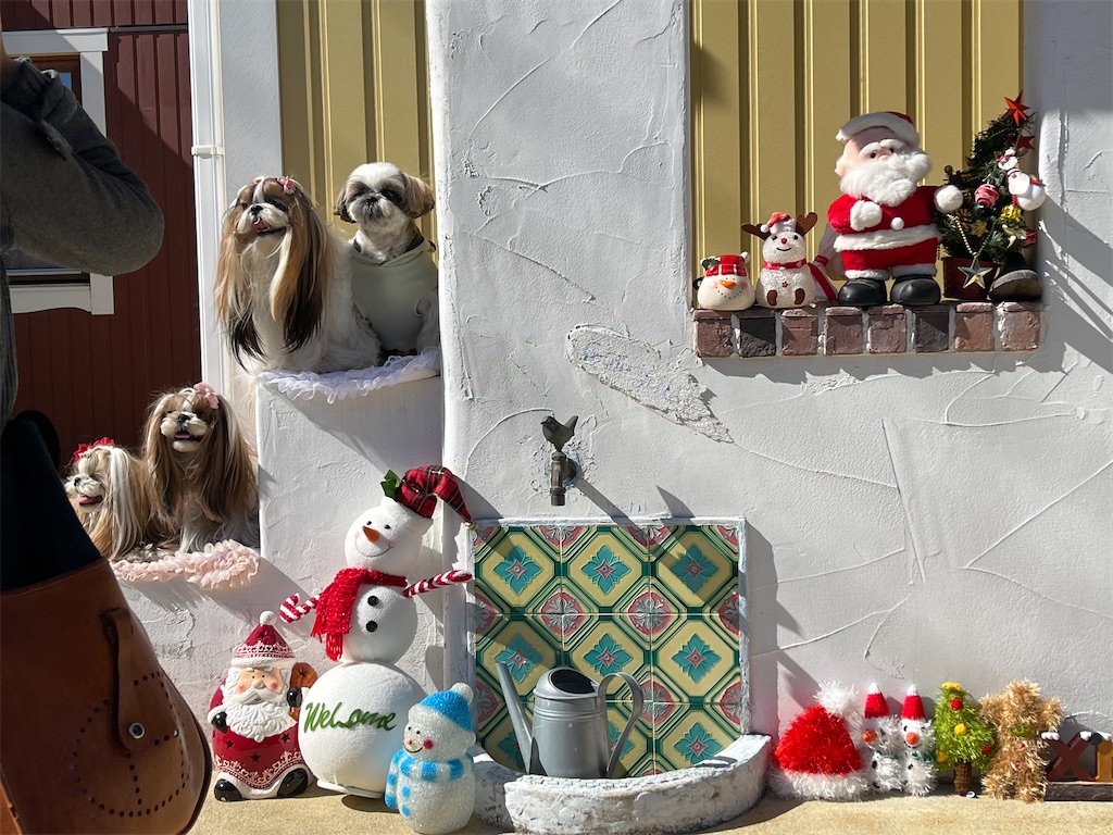 f:id:zappa38:20221031190815j:image