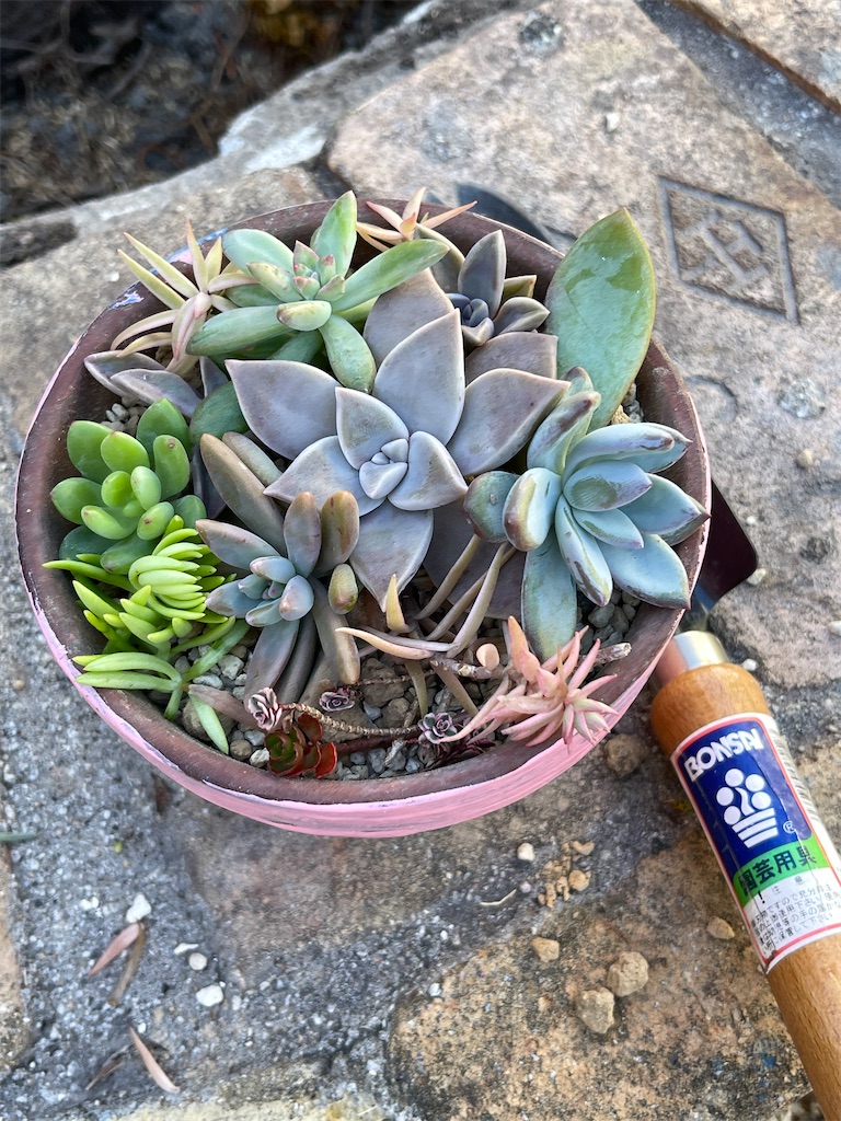 f:id:zappa38:20221031190822j:image