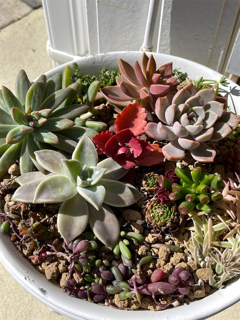 f:id:zappa38:20221031190830j:image