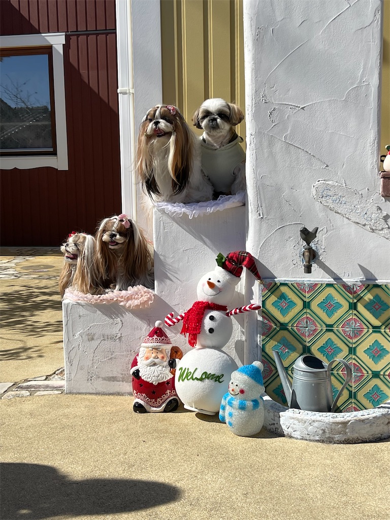 f:id:zappa38:20221031190836j:image