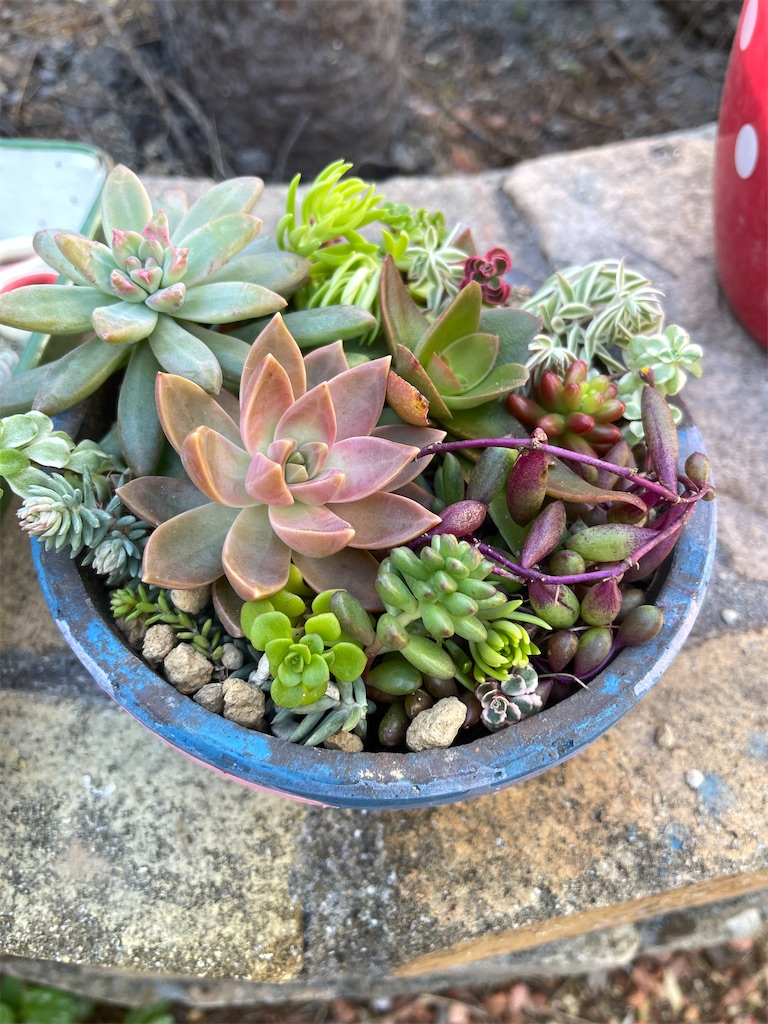 f:id:zappa38:20221031190840j:image